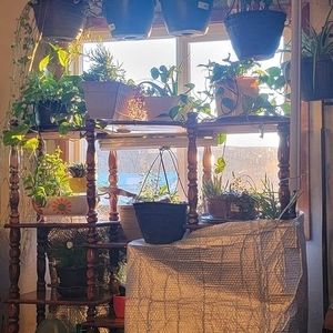 Meet your Posher, Cody